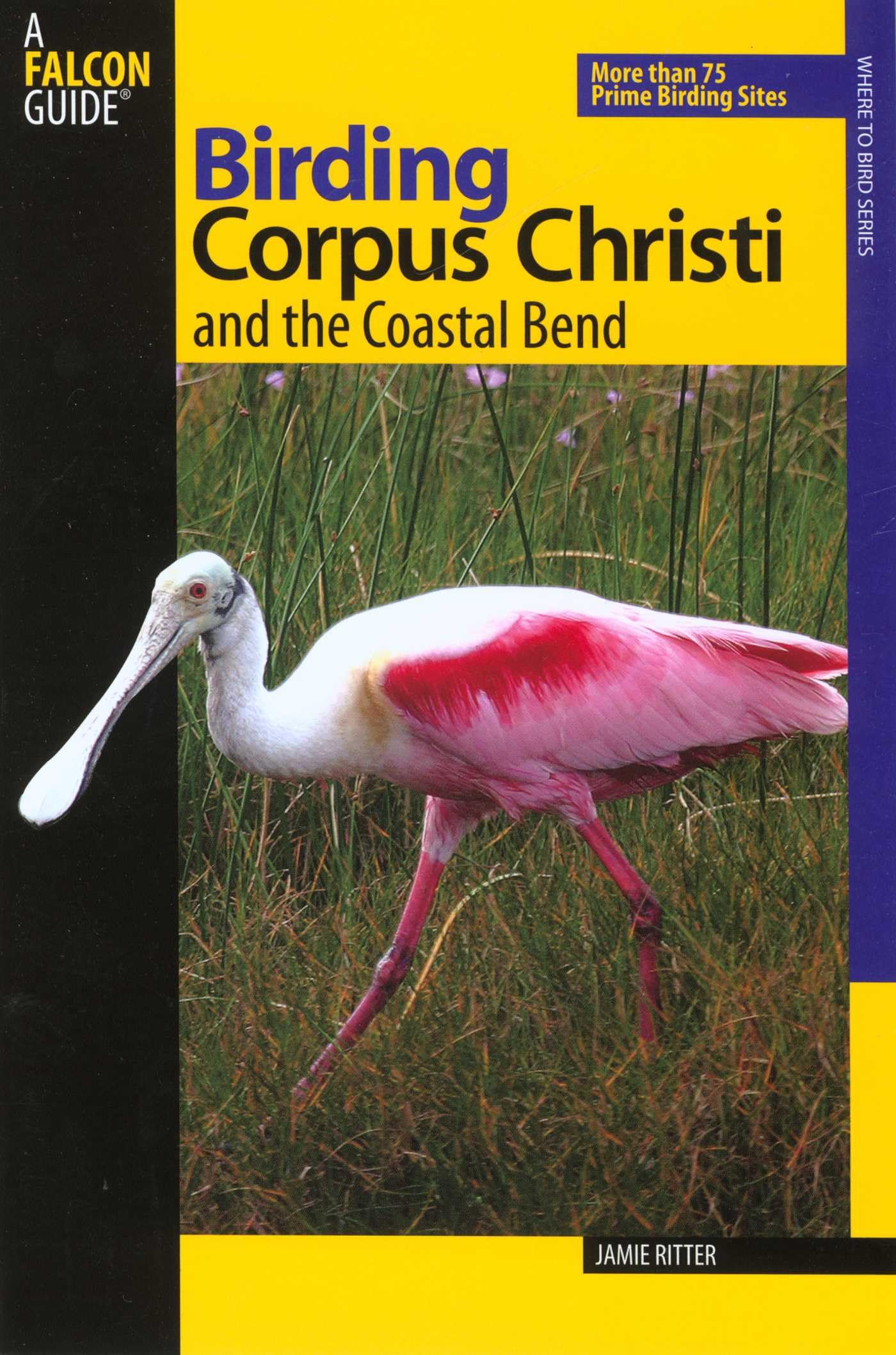 Birding Corpus Christi and the Coastal Bend (Birding Series) cover